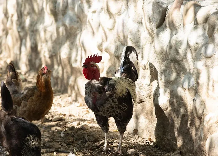 Louisxvi By Interhome * Granges-pres-Marnand